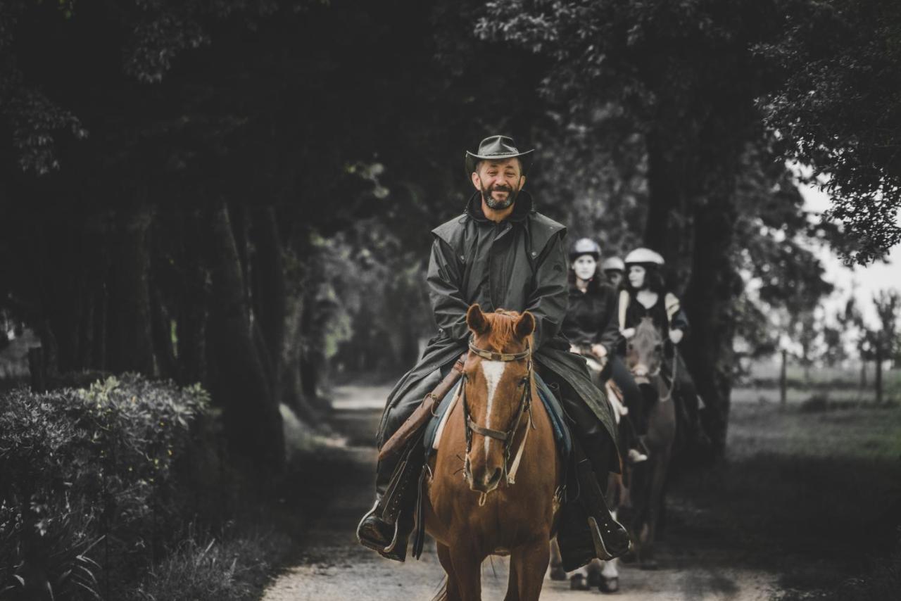 Glamping In Toscana, Luxury Tents In Agriturismo Biologico Sorano  Eksteriør bilde